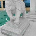 嘉兴 白麻花岗岩动物异形石雕-大象