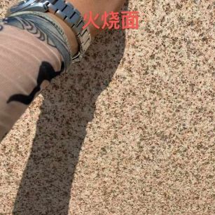 嘉兴黄金麻火烧面