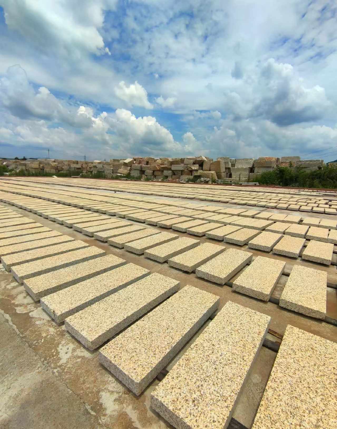 嘉兴 黄金麻荔枝面花岗岩石材地铺石防护中