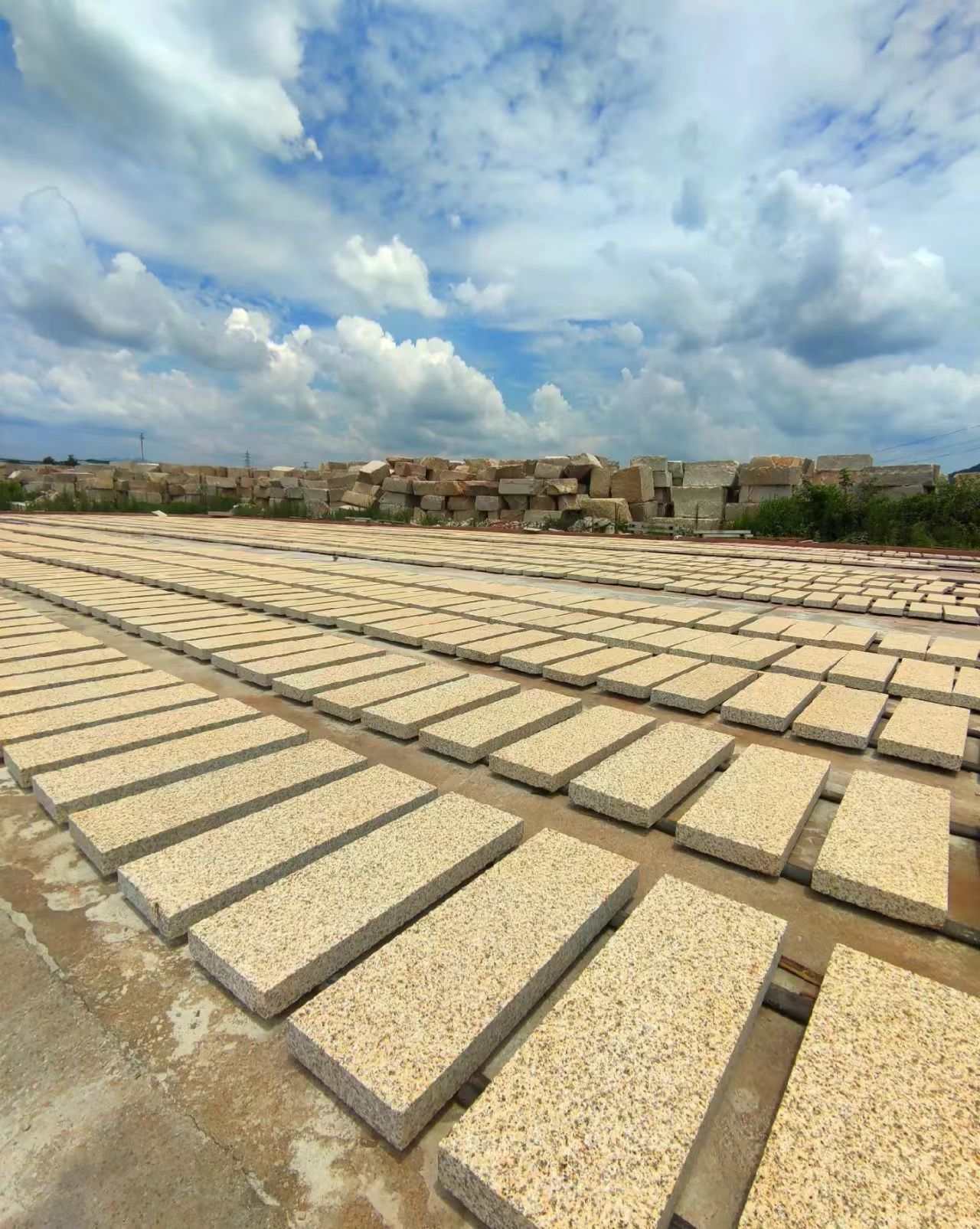 嘉兴 黄金麻花岗岩荔枝面地铺石防护中